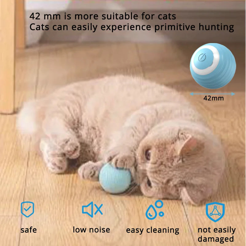 Sized right, safe, and easy to clean