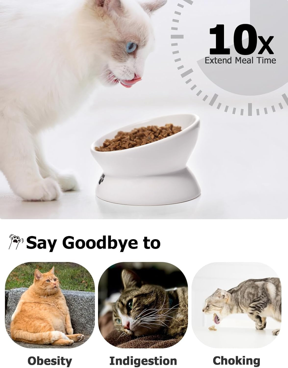 10x slower, healthier meals