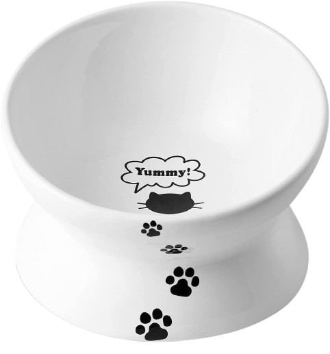 Cat Bowl