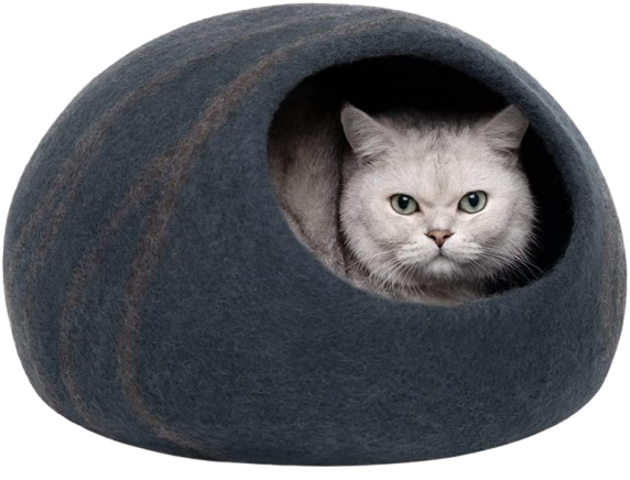 Cat Cave