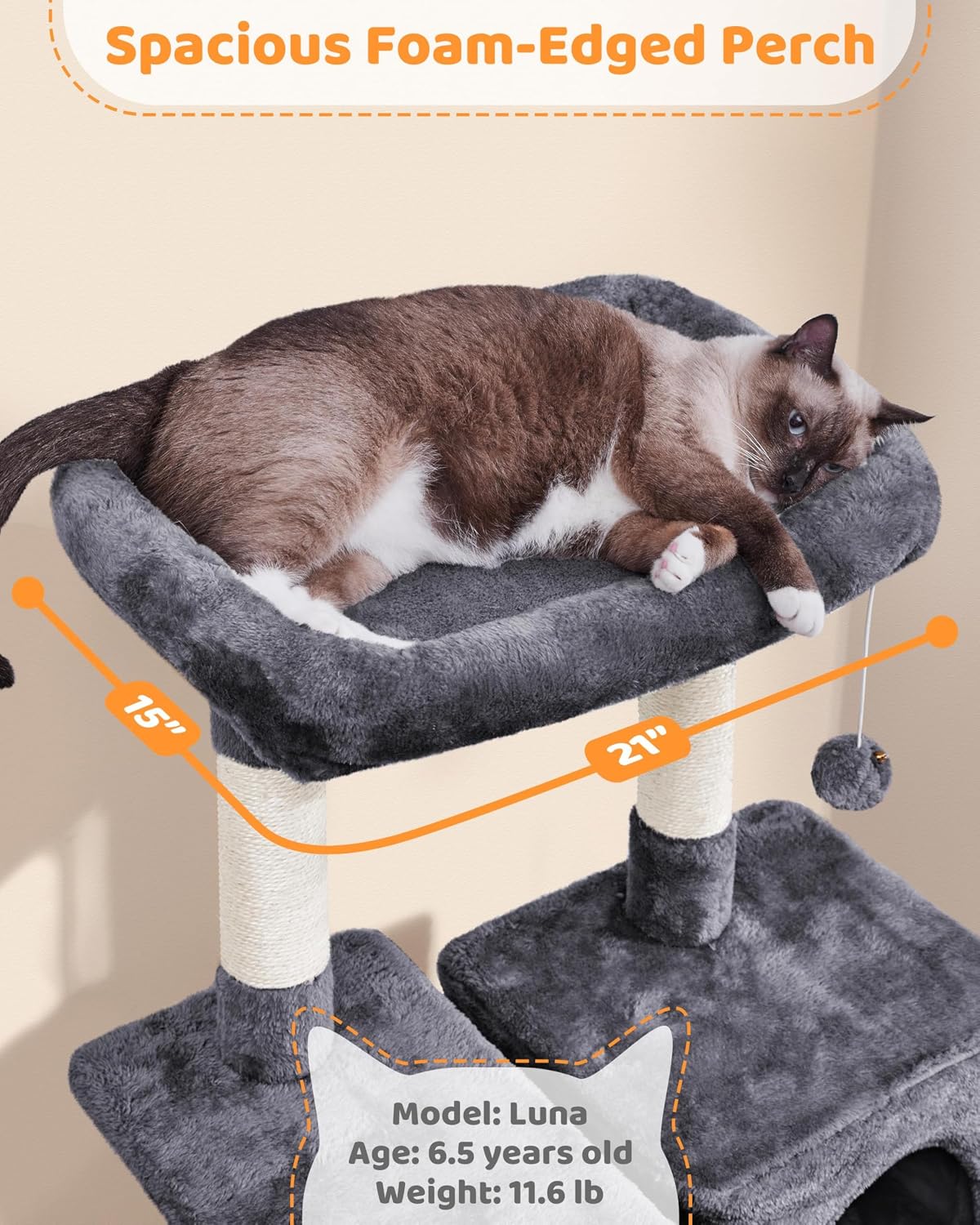 A perch made for lounging